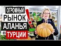 Турция: CУПЕР РЫНОК. Рыба, мясо, фрукты, овощи. Обзор и цены. Новые правила. Изделия из шелка Аланья