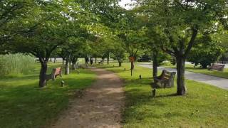 Memory Lane in Roxbury Township