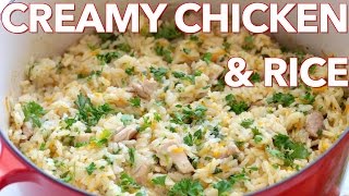 Dinner: Creamy Chicken and Rice (Plov)  Natasha's Kitchen