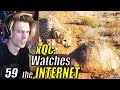 xQc Reacts to "Daily Dose of Internet" with Chat | GO AGANE! | Episode 59