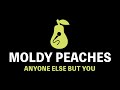 Moldy Peaches Anyone Else But You Karaoke