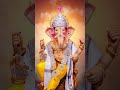 # Jay sir ganesh 🙏🏼🙏🏼🙏🏼🙏🏼🙏🏼🙏🏼