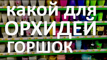 какой горшок для орхидеи