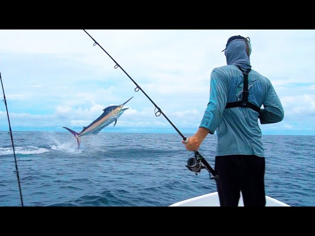 500-Pound Marlin Surprise - Offshore Fishing an Uninhabited Coast