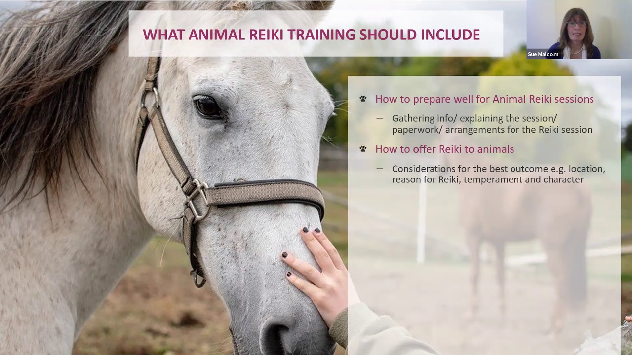 ANIMAL REIKI WEBINARS | UK Reiki Federation