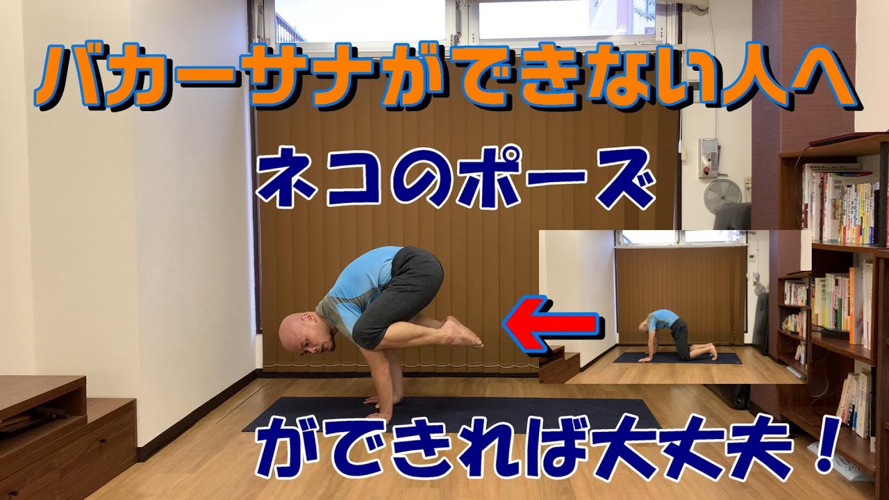 バカーサナができない人へ【ネコのポーズができればバカーサナもできる話】