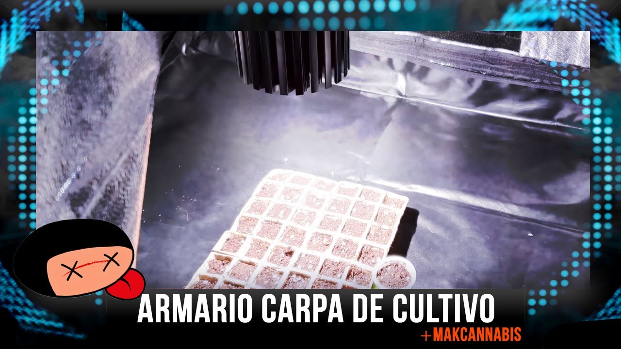 Armario carpa de cultivo y Makcannabis
