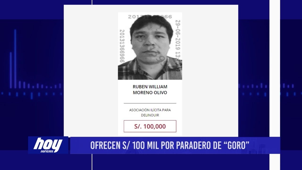 videos peruanos comicos Chimbote: Ofrecen s/ 100 mil por paradero de “Goro”