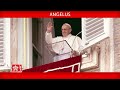 August 23 2020 Angelus prayer Pope Francis