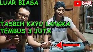 Review Kayu Bertuah dan Khasiatnya