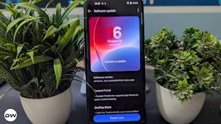 Celebrity Update Downloaded? Here's How to Stop It Before It Installs (Stay on Old Version) Wealth