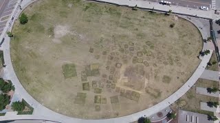Auraria Campus reports lawn damage pro-Palestine protest Profile