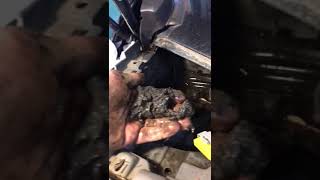 VID 20190722 4
