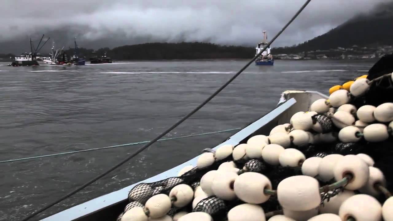 Crash n' Burn 2nd Sitka Herring Opener YouTube