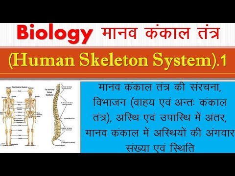 Human skeleton system 1|| Biology || मानव कंकाल तंत्र|| Structure