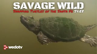 Snapping Turtles of the Santa Fe | Savage Wild S4/E8 | wedotv