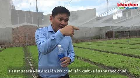 HTX rau sạch Nên Ăn: Liên kết chuỗi sản xuất - tiêu thụ theo chuỗi
