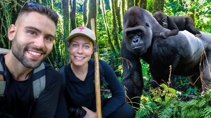 Gorilla Trekking in Uganda