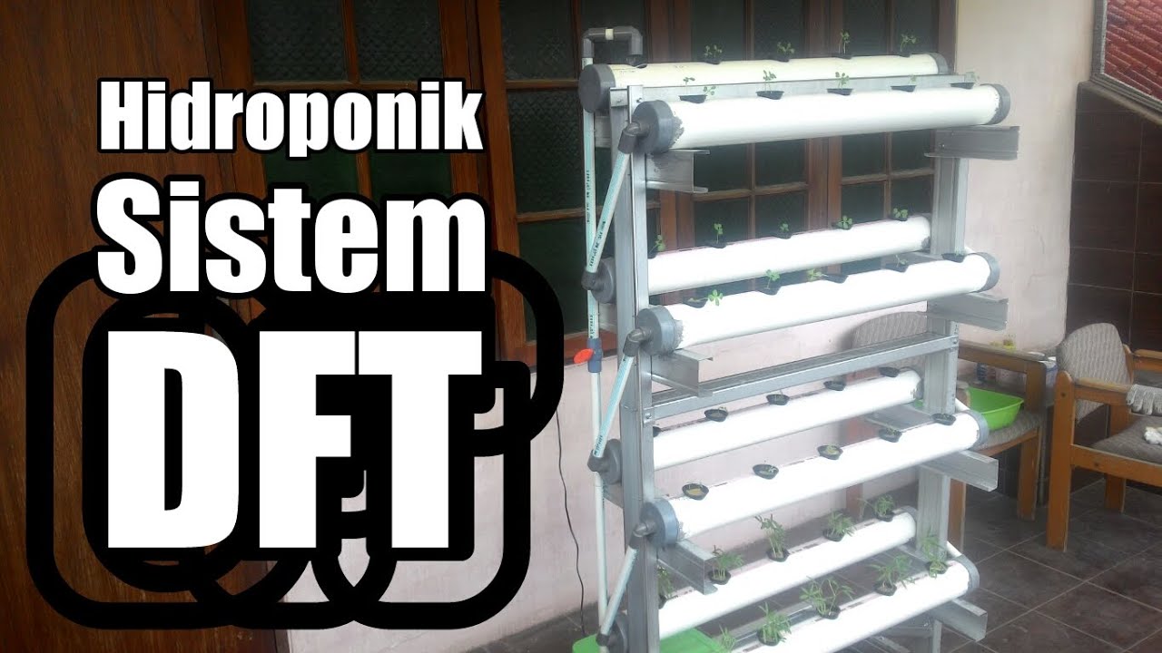  Hidroponik  Sistem DFT YouTube