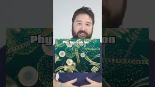 Unveiling Nature's Oxygen Factories: The Secret Life of Phytoplankton! #oxygen
