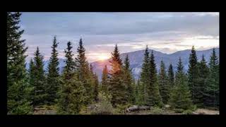 Jake Bugg - Pine trees (Cover)