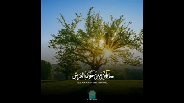 الآية : من سورة الزمر القارئ : شريف مصطفى #چرا_chra