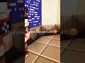 Как меня это женщина бесит а вас?