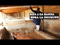 Darasa la ufugaji bora wa nguruwe sifa 5 za banda bora la nguruwe