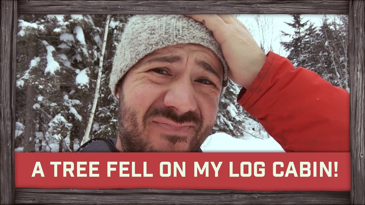 A Tree Fell On My Log Cabin YouTube