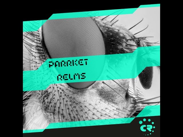 Assista a Parrket - Relms (Antonio Ruiz Remix) no YouTube Assista a Parrket - Relms (Antonio Ruiz Remix) no YouTube