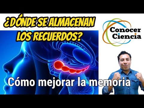 Vídeo: Sobre La Neurociencia De Los Recuerdos De Viaje - Matador Network