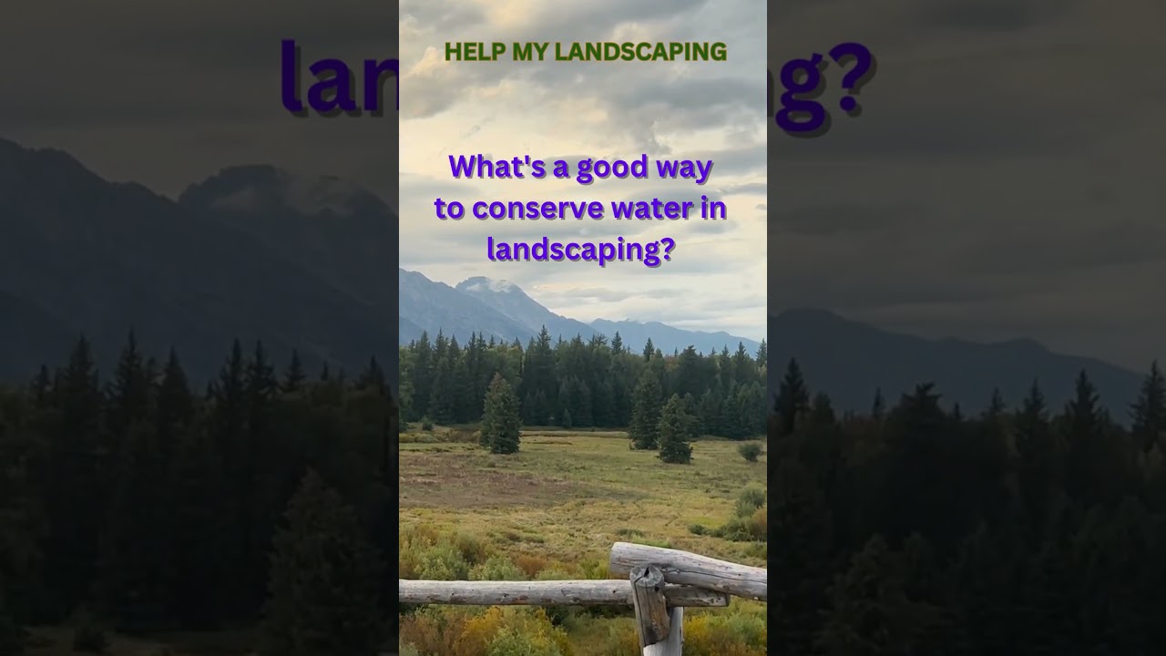 Help My Landscaping Tip: Save Water 