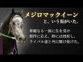 【最強のステイヤー】メジロマックイーン🏇
