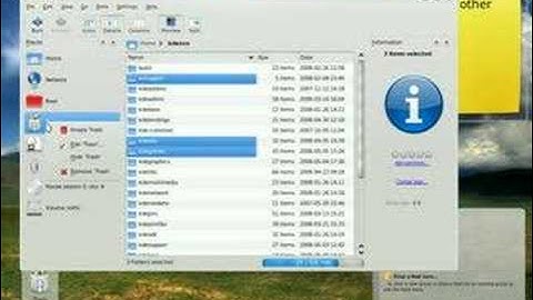 Dolphin in KDE 4.1 alpha-something