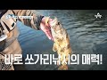 [예능] 도시어부2 44회_201022_※민물의 제왕 쏘/가/리/대/전 (With. 주연)※