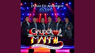 Miniatura de "Grupo Marfil Del Corazon De Tierra Caliente - Entre Copa Y Copa (En Vivo)"