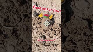 Красота выпала... #коп #кот #поиск #находки #клад #здоровье #прикол #xpdeus2 #digger #деревня #отдых