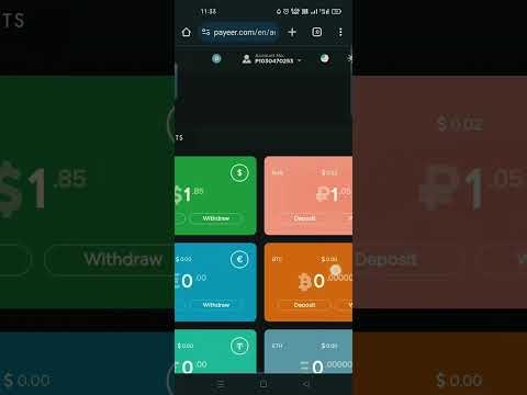 تحويل من روبل الى دولار فى محفظة بايير 
