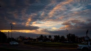 Tigre (invierno), Buenos Aires, Argentina