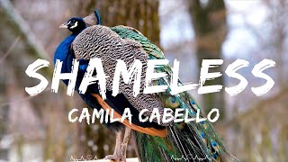 Camila Cabello - Shameless  || Andra Music
