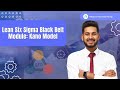 What is Kano Model? | Lean Six Sigma Tool for Customer Satisfaction