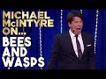 Different Ways To Cope With Bees And Wasps | Michael McIntyre