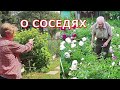 У моих соседей всегда есть чему подивиться