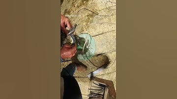 The Grey horse part 3