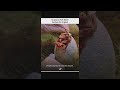 ¿Es imposible hacer otra buena película de Jurassic Park?