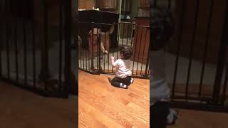 Dog cage falls on baby