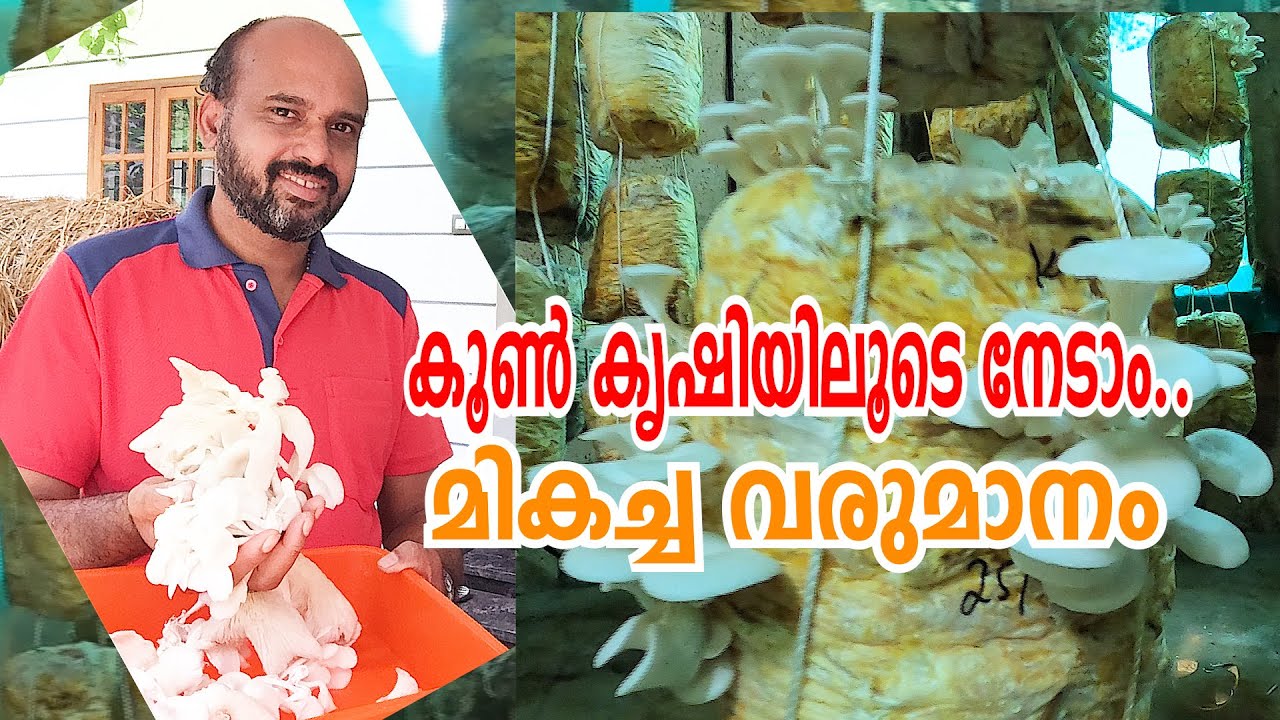 Mushroom Farming | കൂൺ കൃഷിയിലൂടെ മികച്ച വരുമാനം നേടാം | Vlog#25