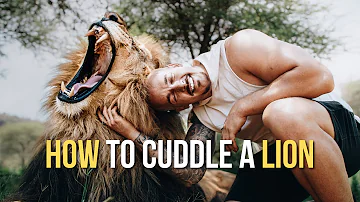 How to cuddle a Lion! - Dean Schneider