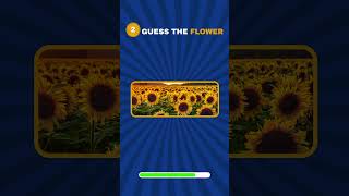 Guess the Flower Name | 40 Flowers from Easy to Hard 🌸🌼 ||#shorts#viral#trending#quiz#guesstheflower screenshot 2