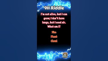 I’m not alive, but I can grow; I don’t have lungs, but I need air. What am I?